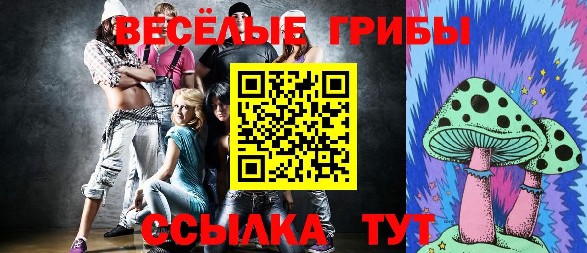 цены наркотик  Вход с VPN  Якутск  Псилоцибиновые грибы Psilocybe 